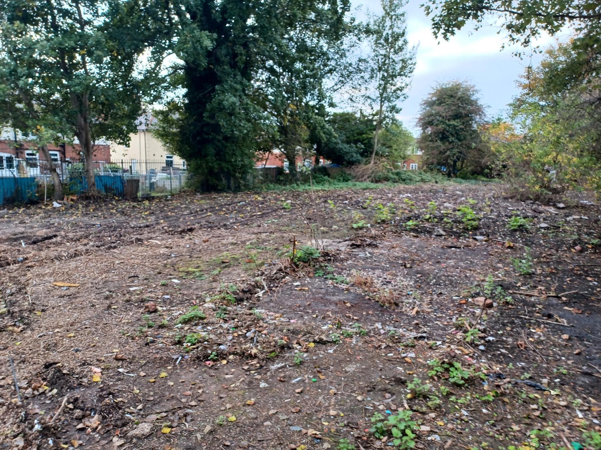 The area of land after the project, now clear of overgrowth and waste.