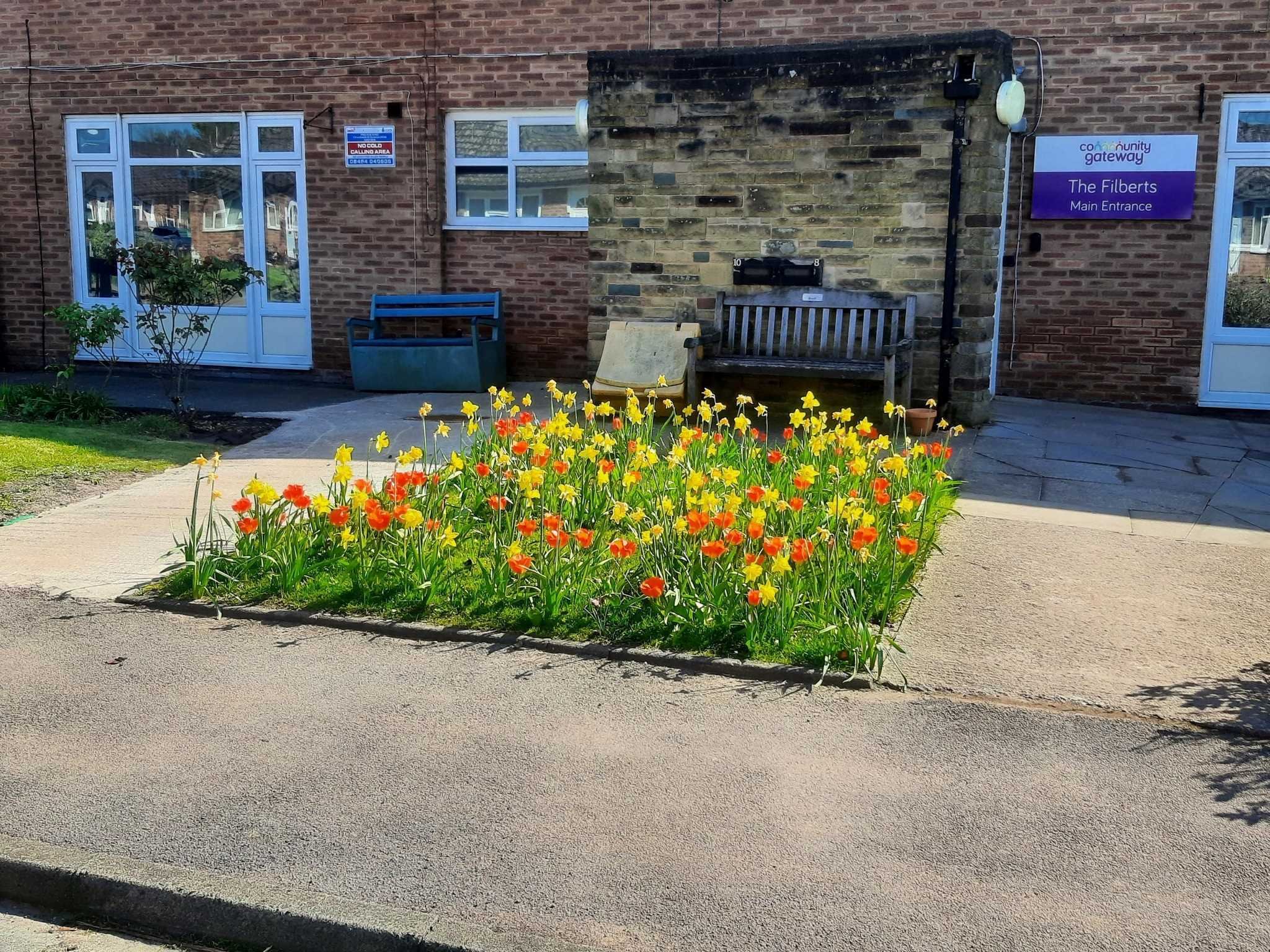 Red and yellow wildflowers blooming outside of The Filberts communal building