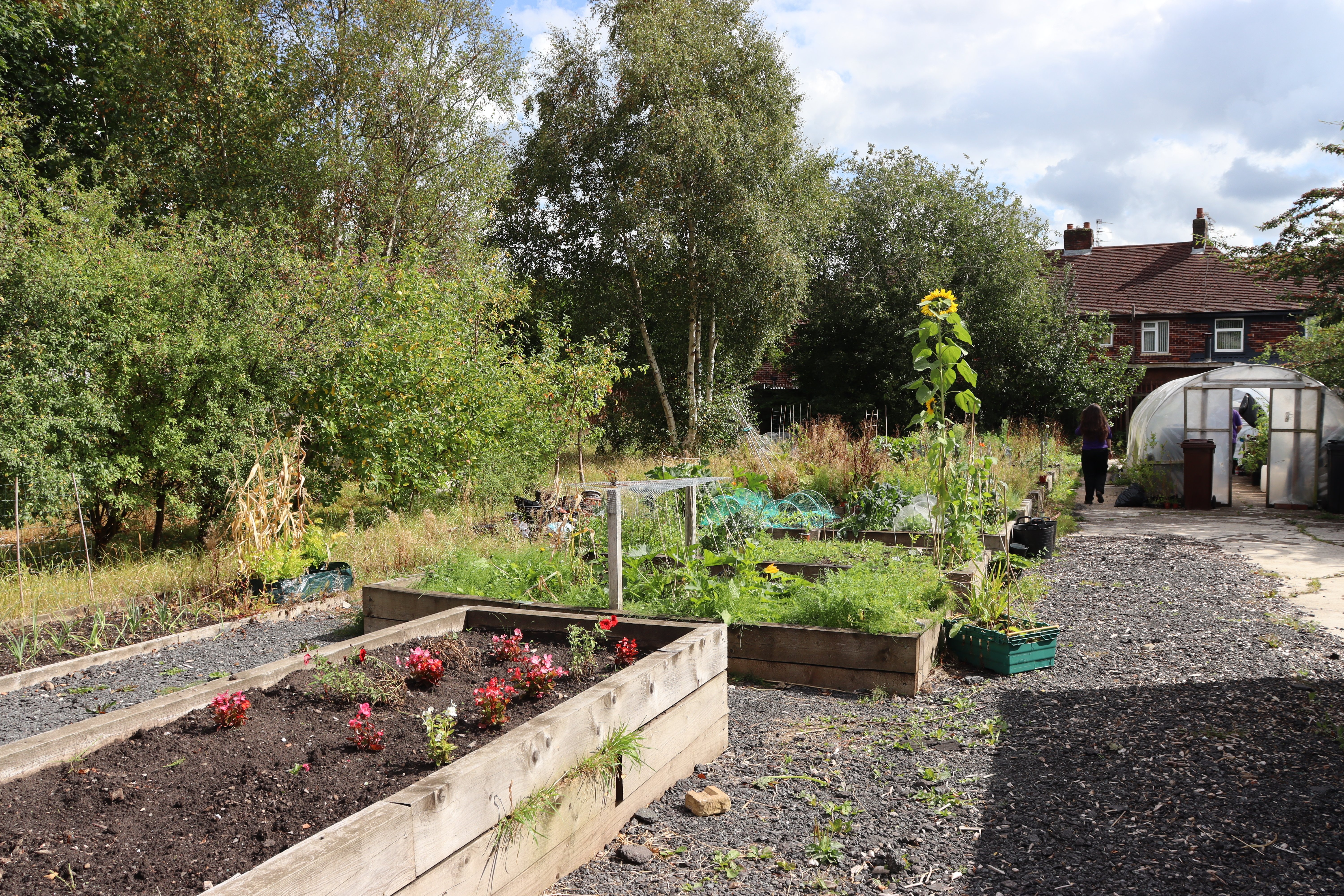 Moor Nook Allotments