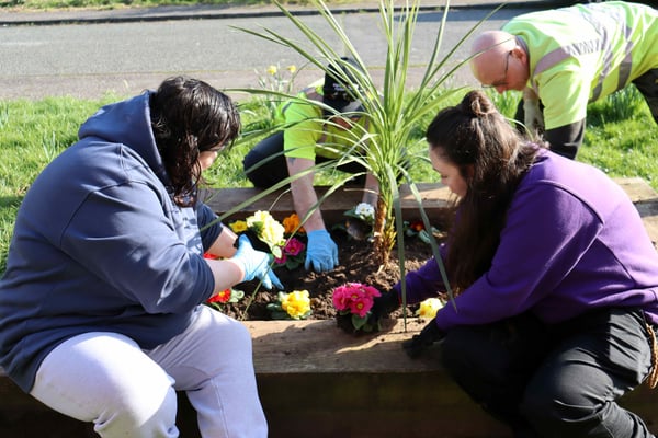 tenants and colleagues planting flowers