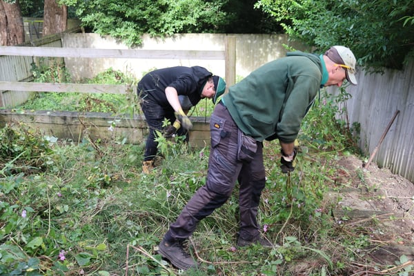 James and Billie working on a tenant's garden