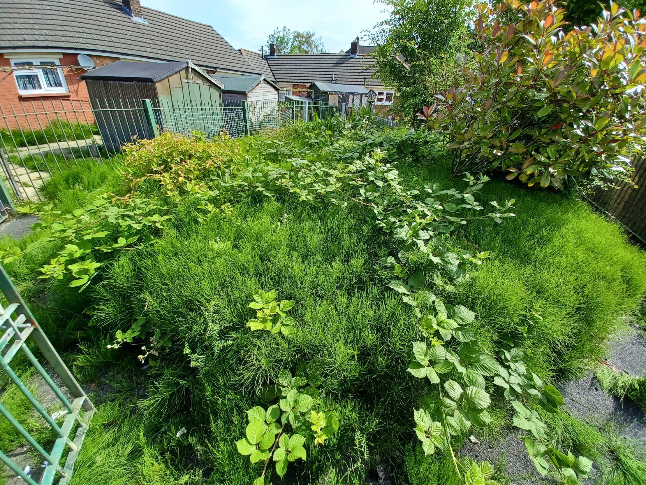 The overgrown space on Burholme Close