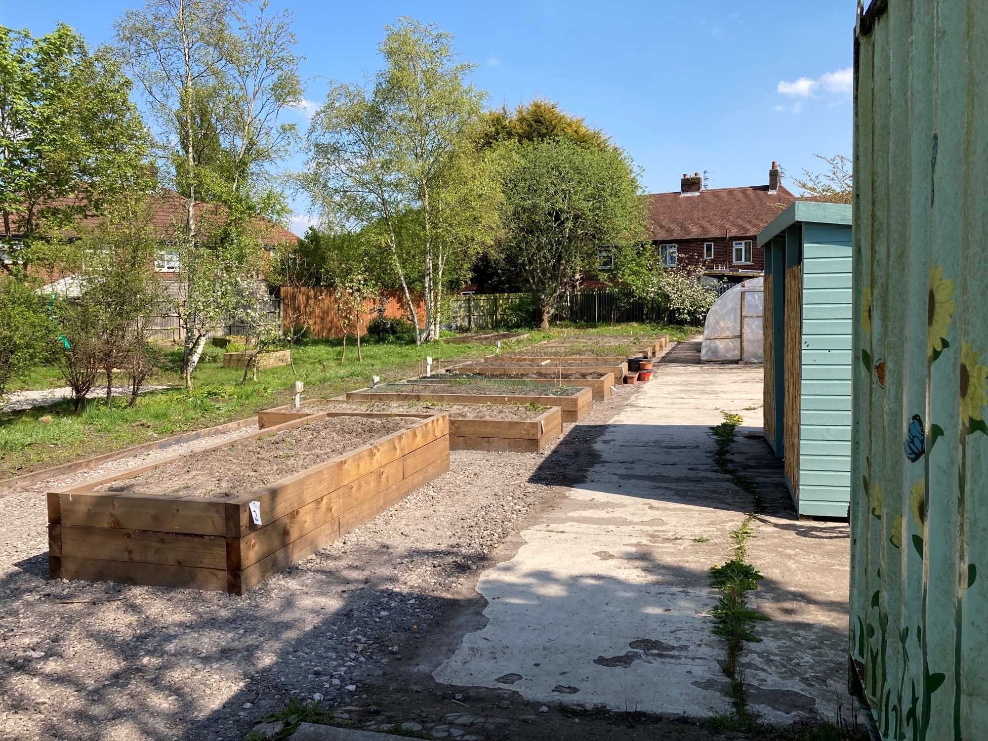 An allotment site with 10 planting beds on show with bright green grass and green lining the background