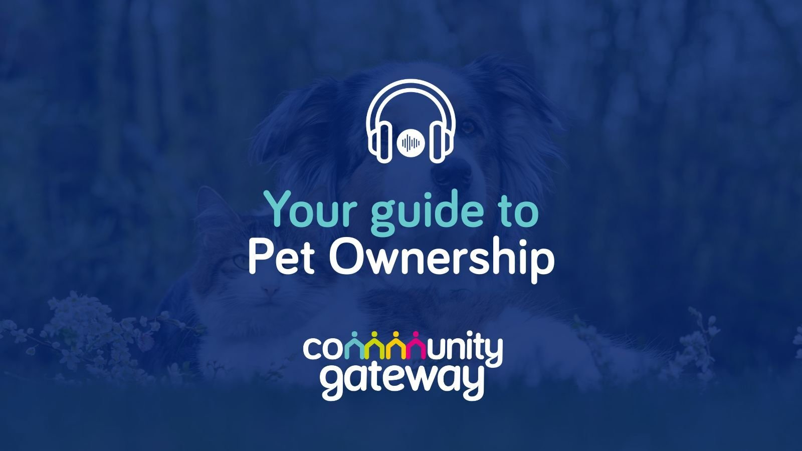 Pet Ownership-1