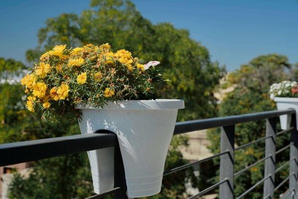 flowers-pots-decoration-hotel-hotel-idea-design-chateau-interior-flowering-balcony