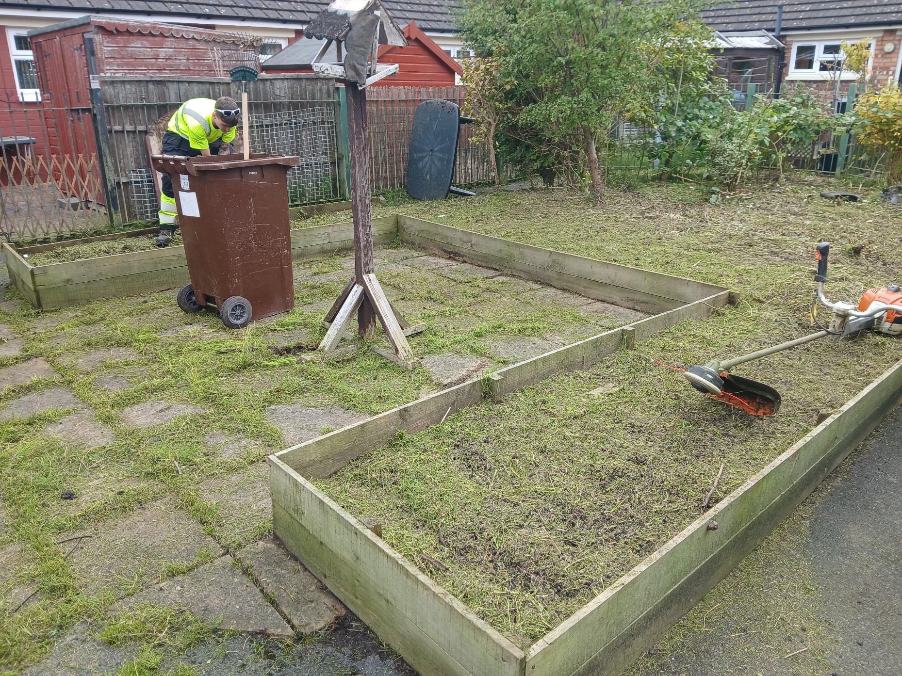 The space after the overgrowth had been removed.