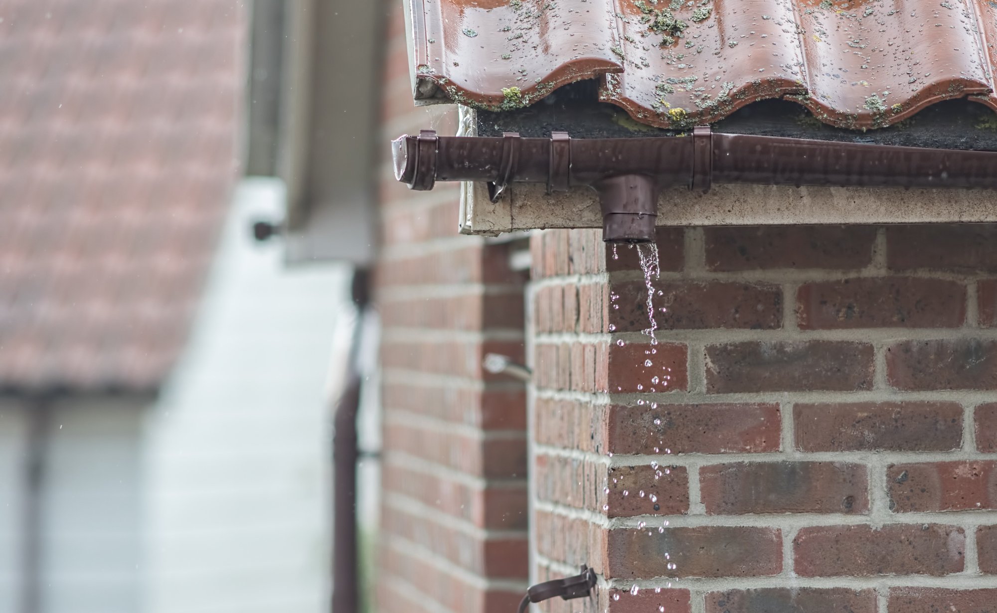 shutterstock_1174058191-1-1-1-1