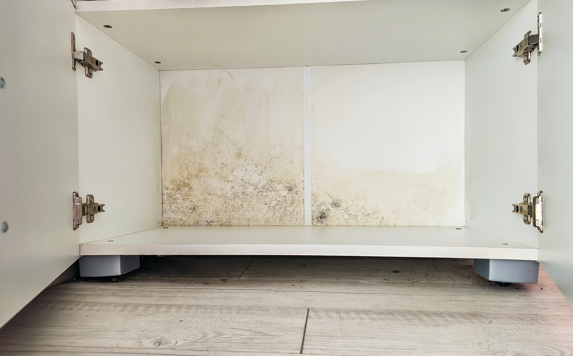 shutterstock_2616978311