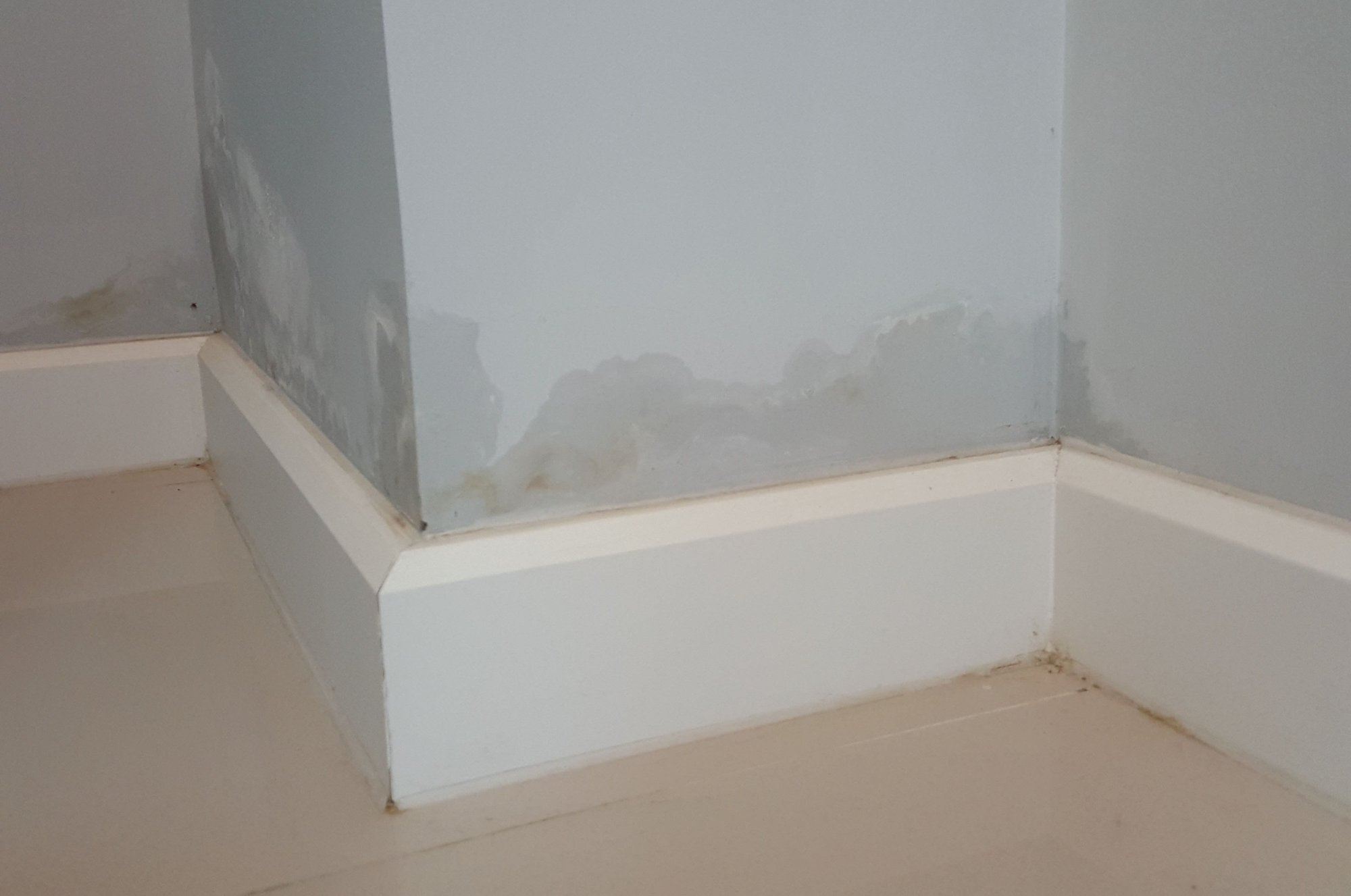 shutterstock_586916339-2-1